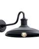 Allenbury 9 Inch Outdoor Wall Light