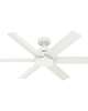 Kennicott 52 Inch Ceiling Fan