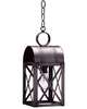 Adams 15 Inch Outdoor Hanging Lantern