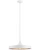 Elias 10 Inch Pendant Light