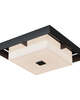 Shadow Box 12 Inch Outdoor Flush Mount