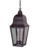 Imperial Medium Outdoor Hanging Lantern