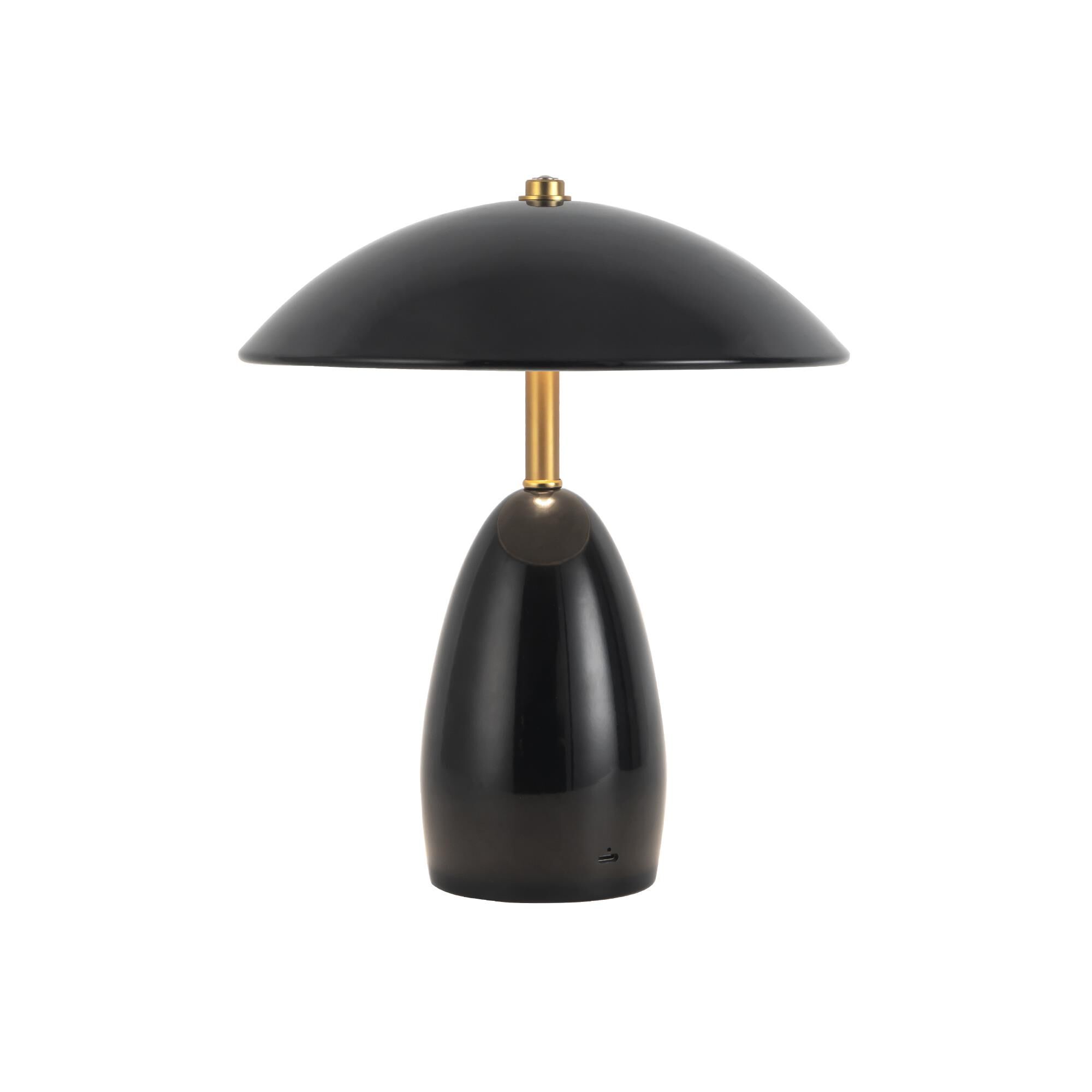 Haejung Roe Poppy 11 Inch Cordless Accent Lamp