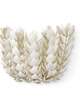 Coco Medium Wall Sconce