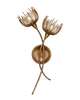 Breegan Jane Protea Large 2 Light Wall Sconce