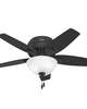 Newsome 42 Inch Ceiling Fan with Light Kit
