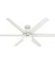 Solaria 60 Inch Ceiling Fan with Light Kit