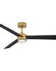 Speck 52 Inch Flush Mount Fan with Light Kit