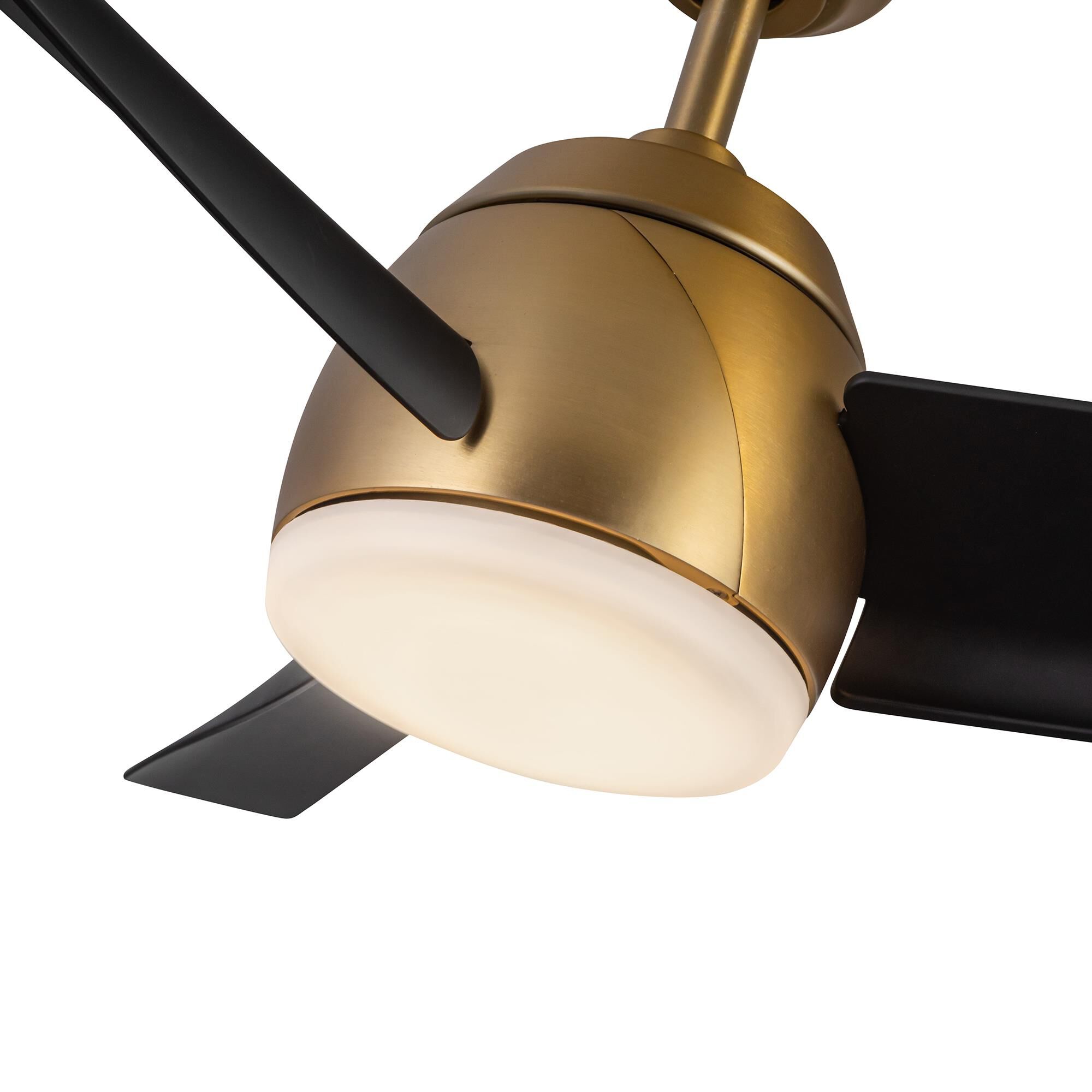 Thalia 54 Inch Ceiling Fan with Light Kit