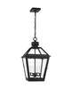 Hyannis Medium Outdoor Hanging Lantern