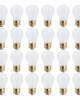 25 Watt A19 Frost E26 12 Volt (24 Pack)