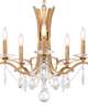 Vesca 29 Inch Chandelier