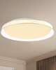 Hampton 21 Inch Flush Mount
