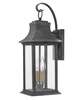 Adair 20 Inch Outdoor Wall Light