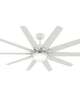 Overton 60 Inch Ceiling Fan with Light Kit