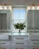 Lotus 24 Inch 3 Light Bath Vanity Light