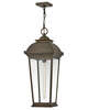 Hawthorne 30 Inch Mini Pendant