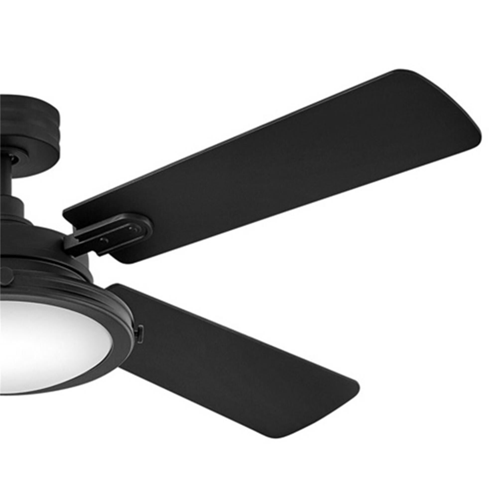 Collier 54 Inch Ceiling Fan with Light Kit