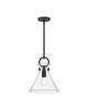 Emerson 13 Inch Mini Pendant