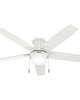 Anisten 52 Inch Flush Mount Fan with Light Kit