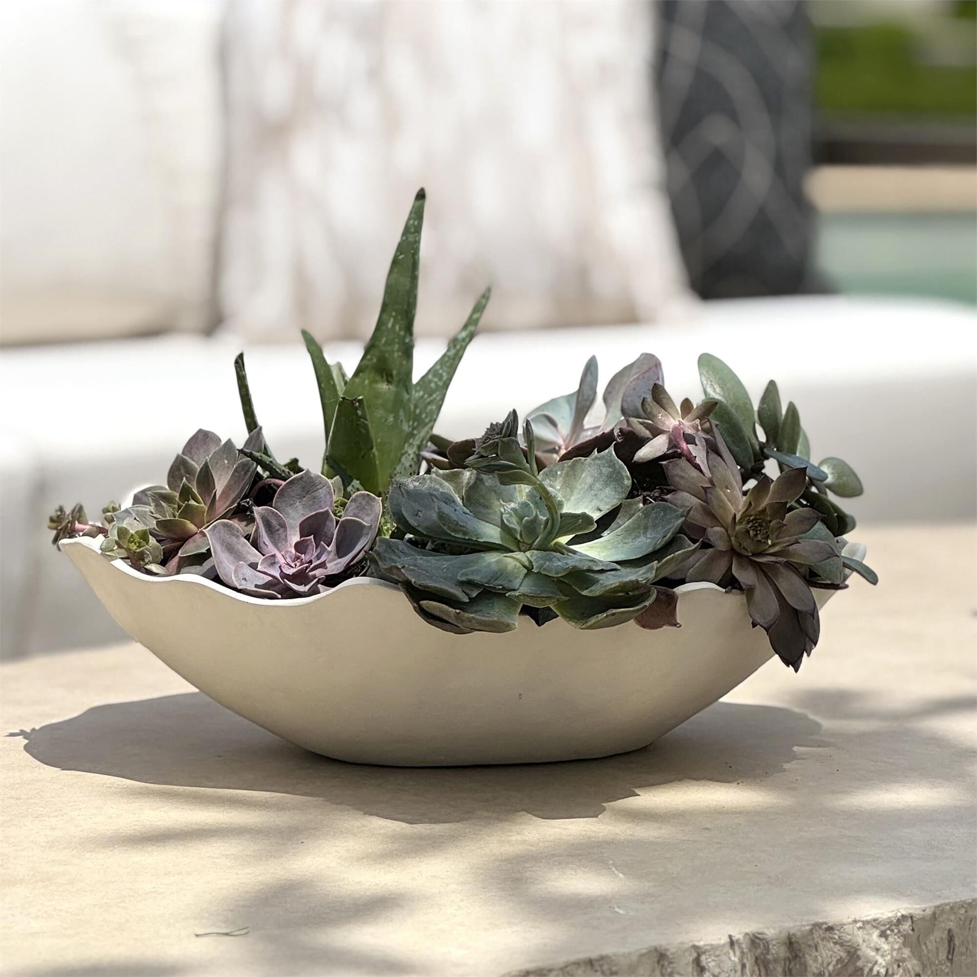Obscura Bowl