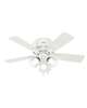 Crestfield 42 Inch Flush Mount Fan with Light Kit