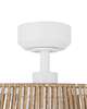 Isla 24 Inch Ceiling Fan with Light Kit
