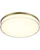 Vantage 11 Inch Flush Mount