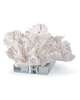 Flower Coral Other Table Accent