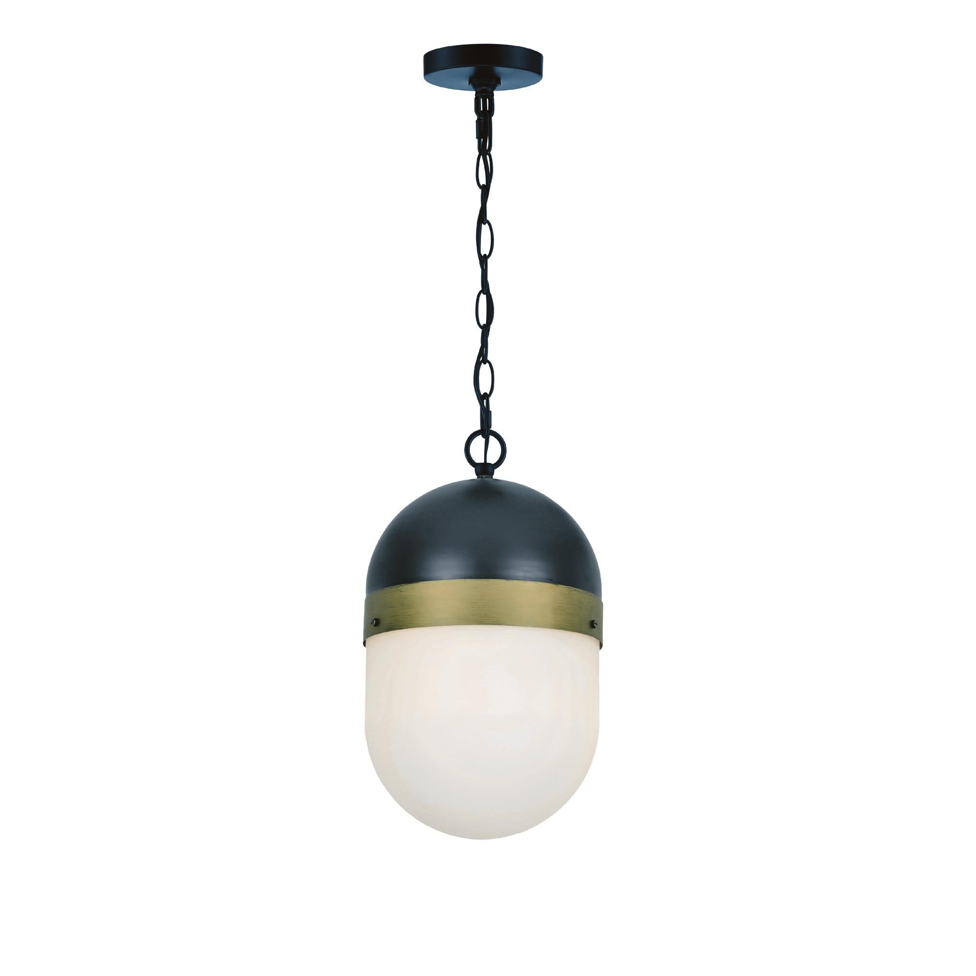 Brian Patrick Flynn Capsule Small Outdoor Hanging Lantern