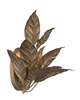 Seraphine Medium 2 Light Wall Sconce