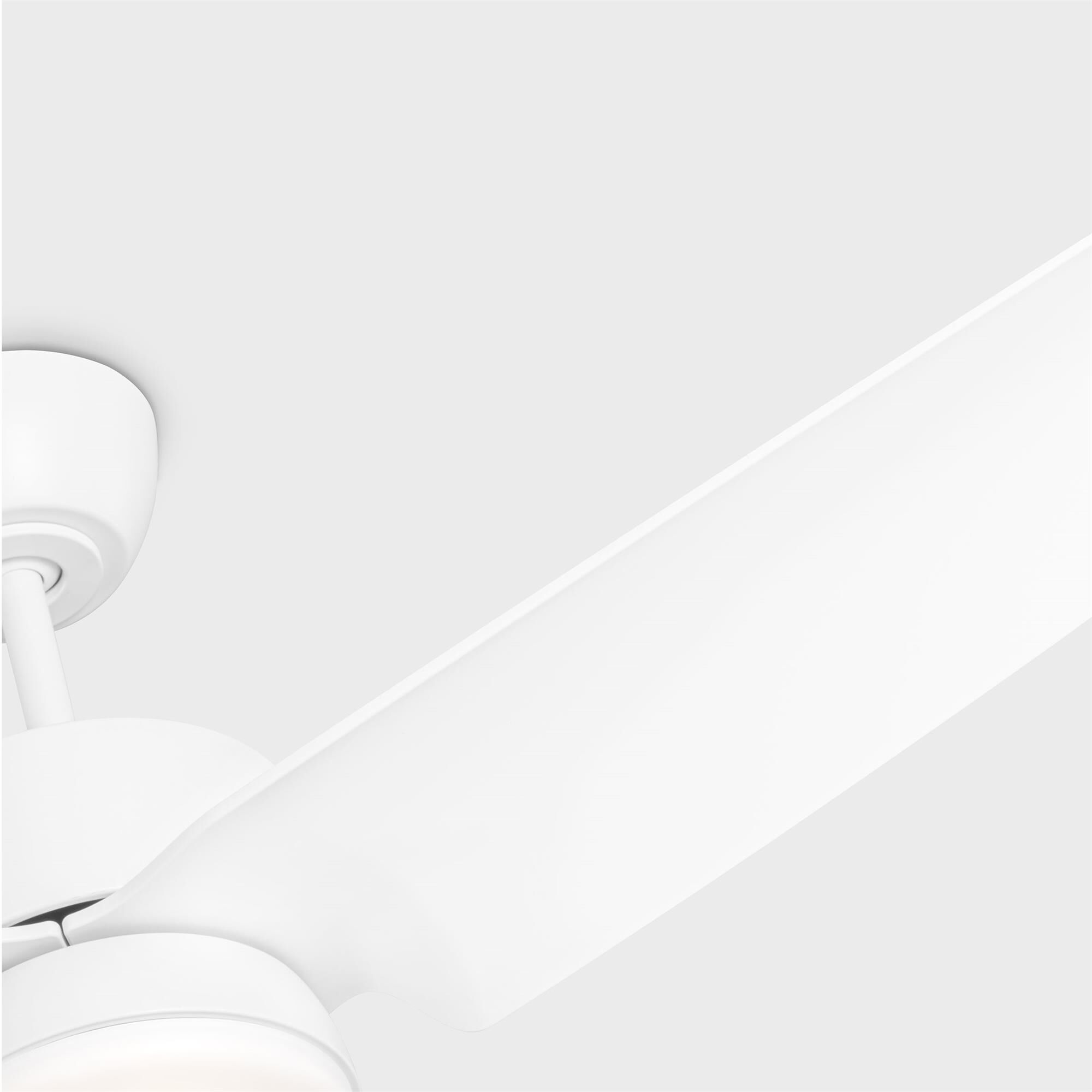 Colgin 56 Inch Ceiling Fan with Light Kit