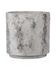 Faux Birch Planter