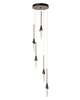 Lilium 12 Inch 5 Light Multi Light Pendant