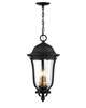 Peale Street Large Outdoor Hanging Lantern
