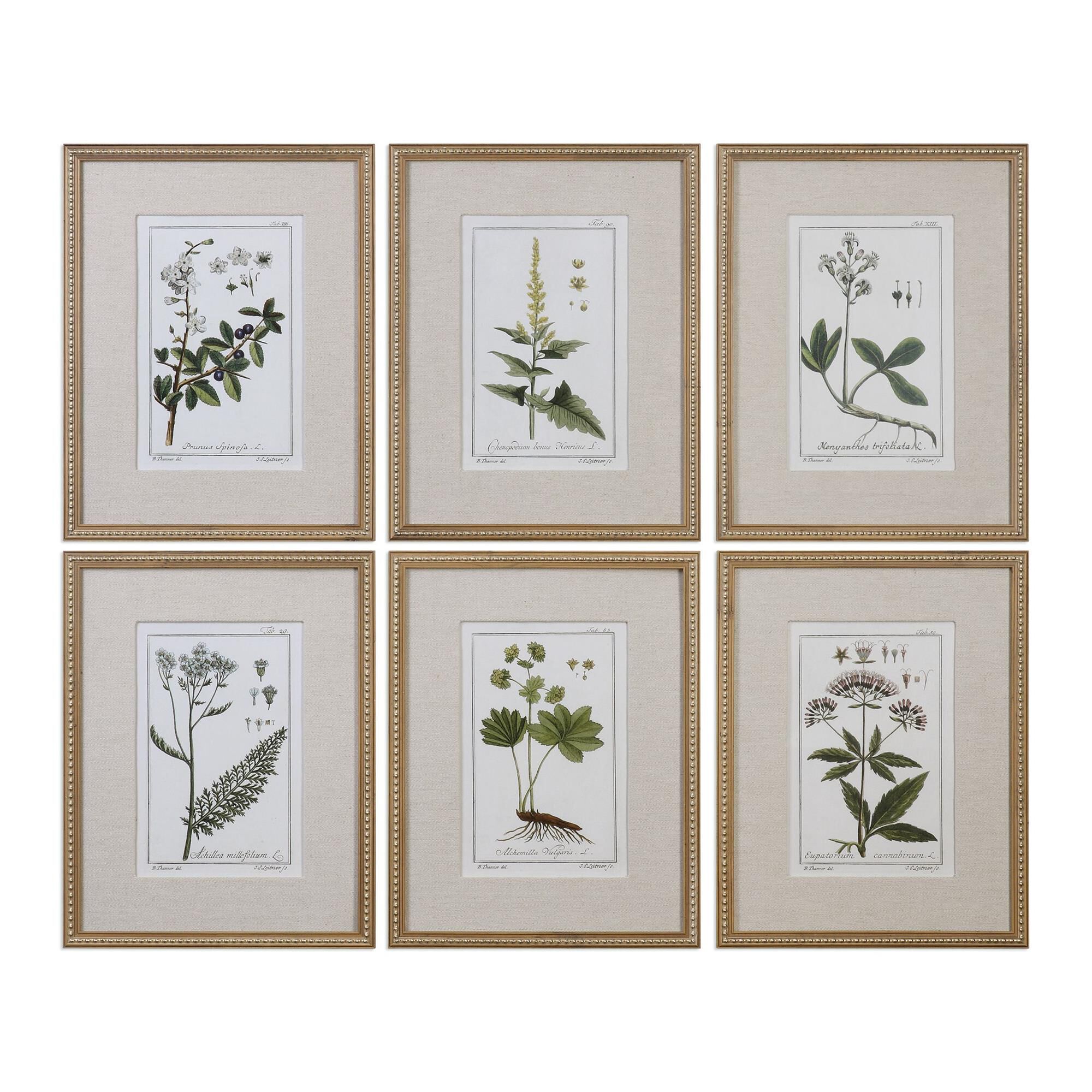 Green Floral Botanical Study Print