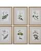 Green Floral Botanical Study Print