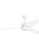 Colgin 56 Inch Ceiling Fan with Light Kit