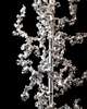 Coral Large Table Lamp
