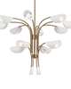 Arcus 29 Inch Chandelier