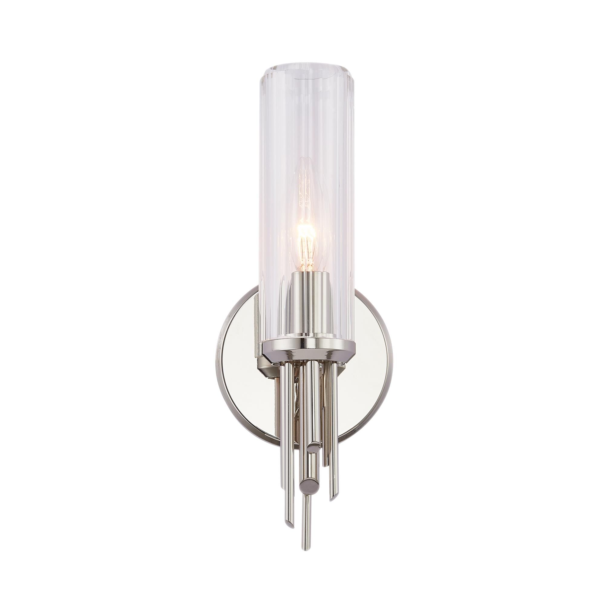 Elisa Carlucci Torres 12 Inch Wall Sconce