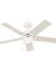 Erling 44 Inch Ceiling Fan with Light Kit
