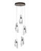 Luma 14 Inch 5 Light Multi Light Pendant