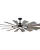Prairie 62 Inch Ceiling Fan with Light Kit