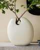 Genovia Vase