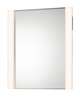 Vanity 36 Inch LED Lighted Mirror