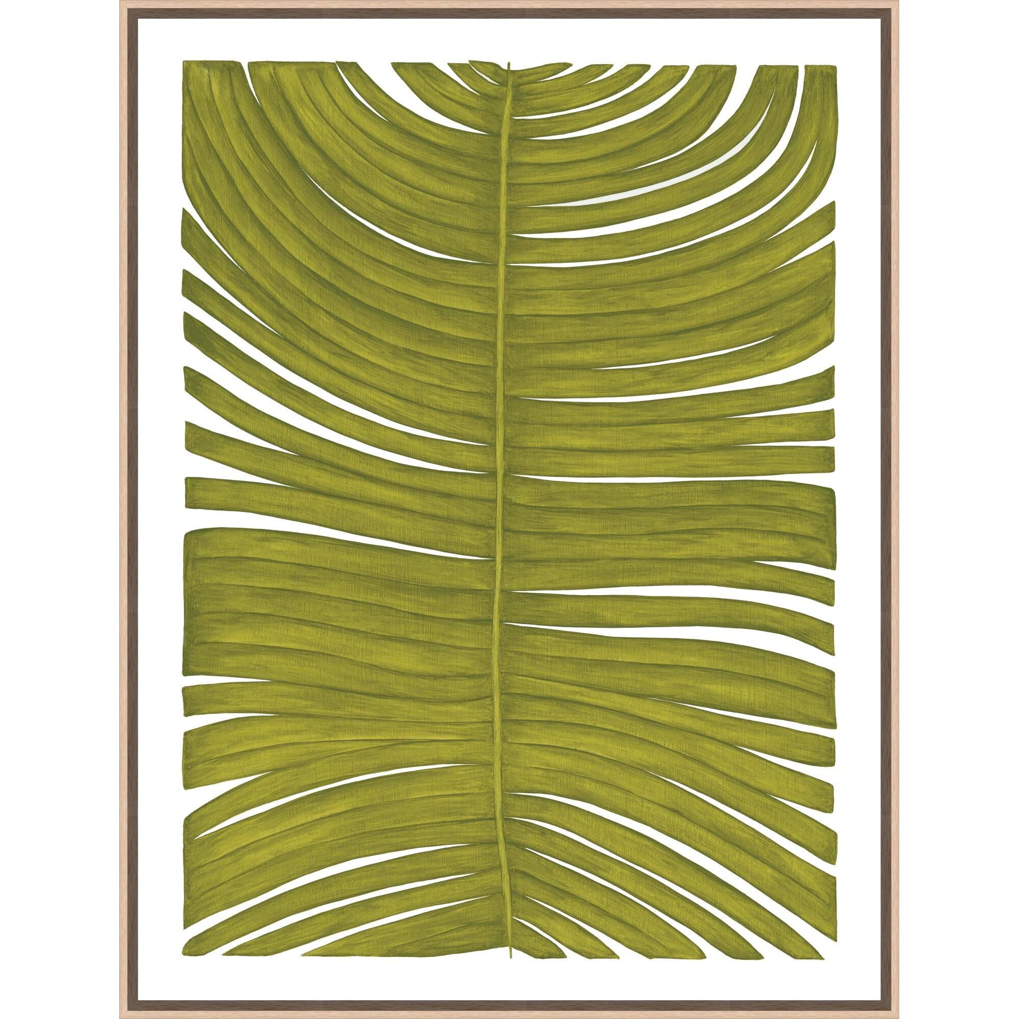 Botanicus Decem Print