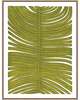 Botanicus Decem Print