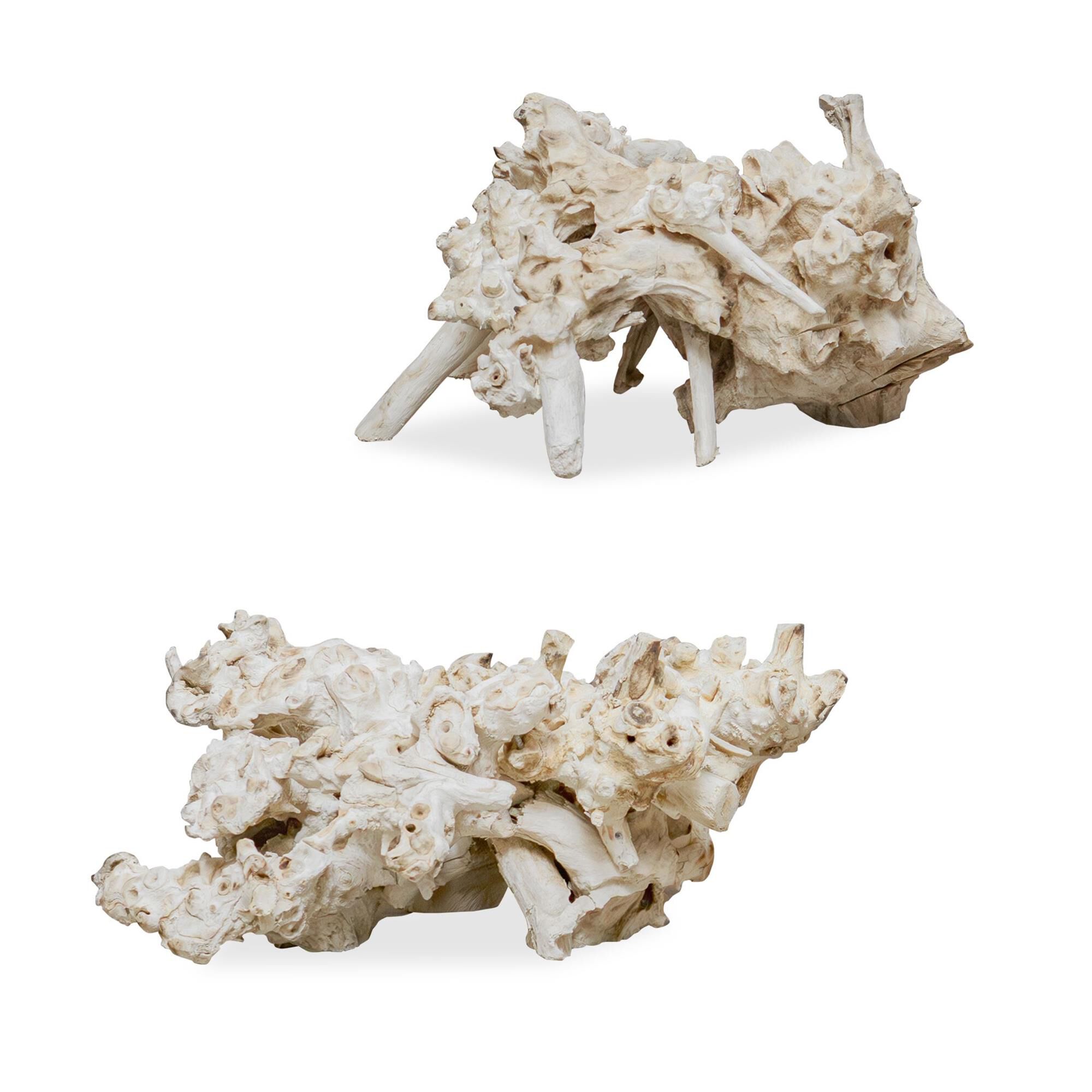 Elemental Root Sculpture