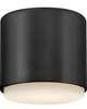 Cedric 5 Inch Flush Mount